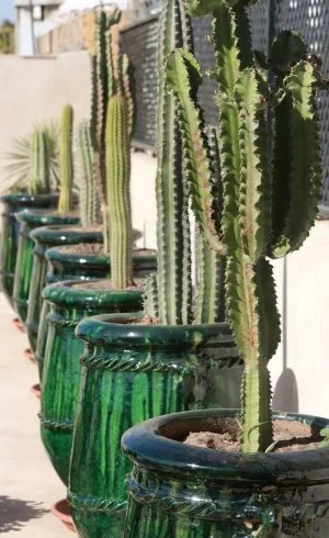 IMG_0399-r5f5fbhb4fsxvrm2utnrw67ieg8jjjjrlt3w1acopw